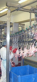gpp_poultry_products.jpg